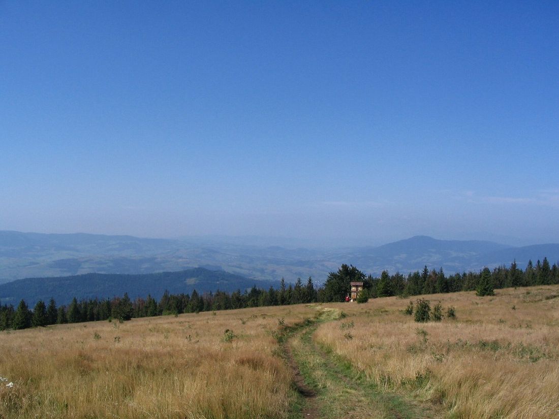 Polana Michurowa na szczycie Ćwilina — rozległa hala z wydeptaną ścieżką biegnącą do drewnianego ołtarza, w tle szeroka panorama Beskidu Wyspowego.