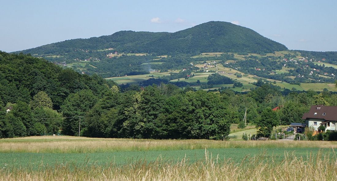 Letni widok na zalesioną kopułę Grodziska od zachodu, z rozproszoną zabudową i polami u podnóża.