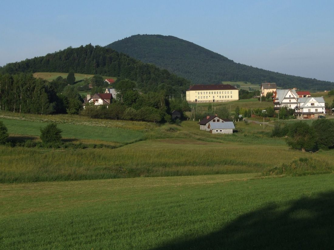Kopulasta, zalesiona sylwetka Kostrzy widziana od północy, nad zabudowaniami Nowego Rybia, latem.