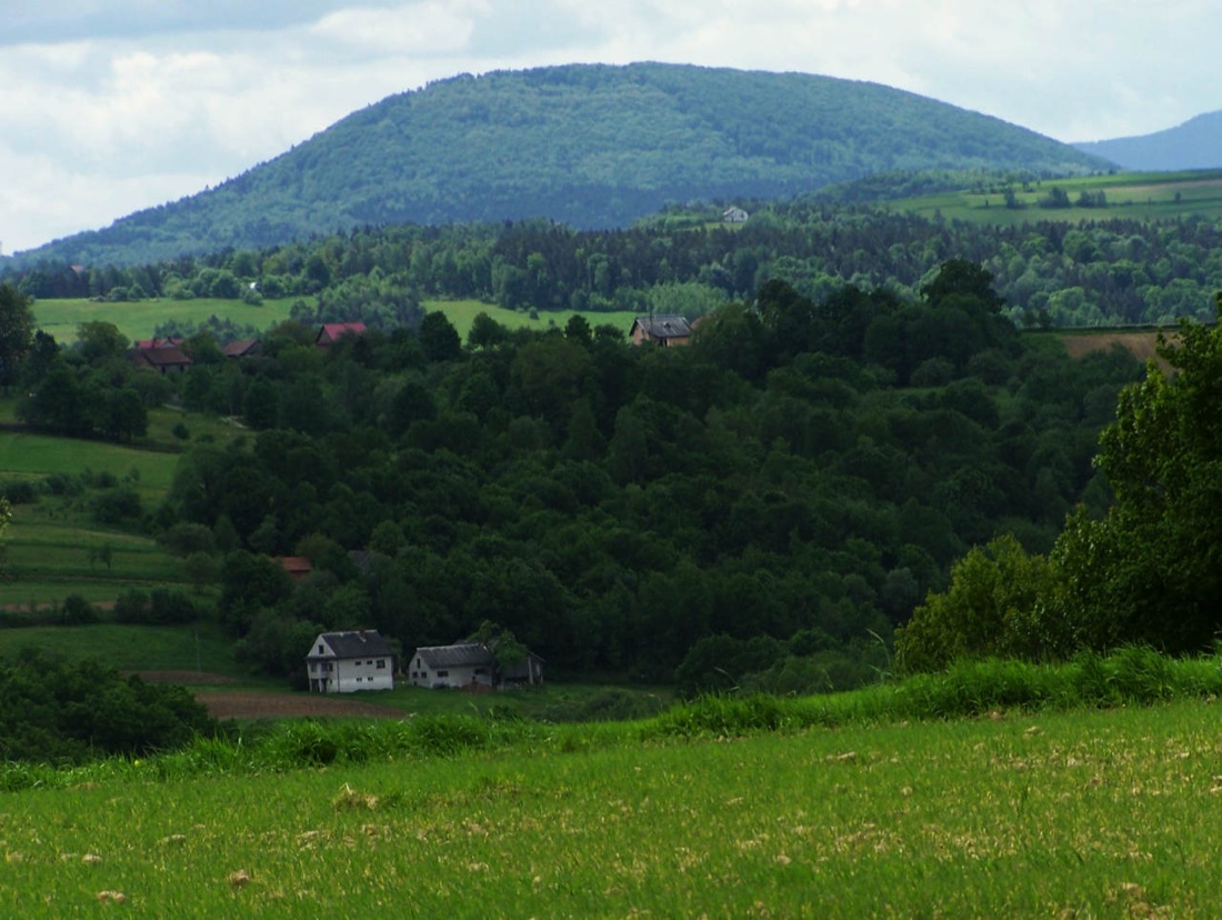 Kostrza od północy, znad Trzciany: długi, równo wysklepiony grzbiet zalesionej góry z opadającym w prawo ogonem - sylwetka, której Kostrza zawdzięcza przezwisko "grzbiet wieloryba".