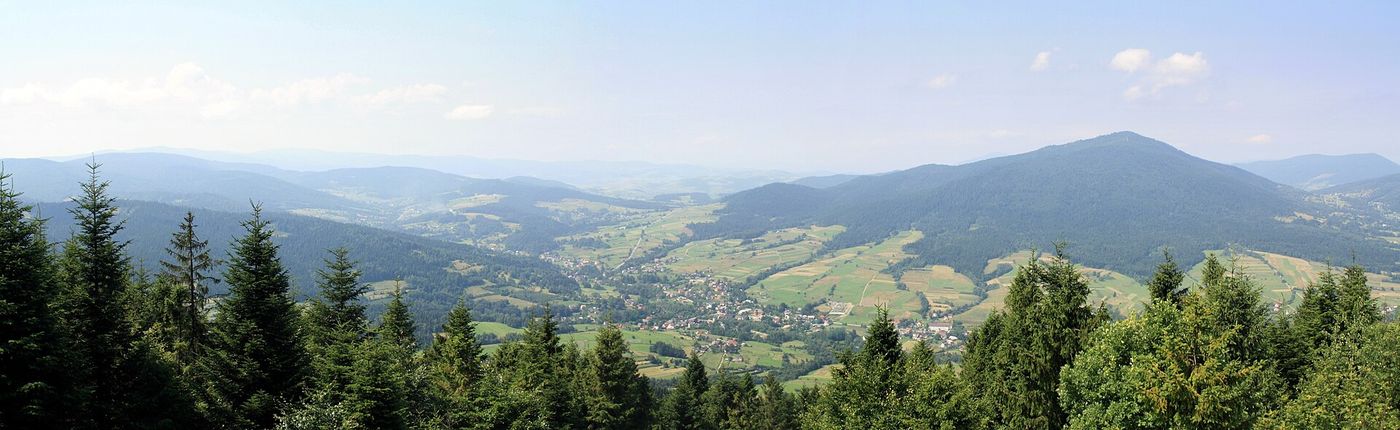 Szeroka letnia panorama ze szczytu Łopienia — dolina Dobrej/Jurkowa w dole, wsie i pola, w tle grzbiety Beskidu Wyspowego; pierwszy plan to świerki przy szczytowej polanie. Zdjęcie z 18 lipca 2011,