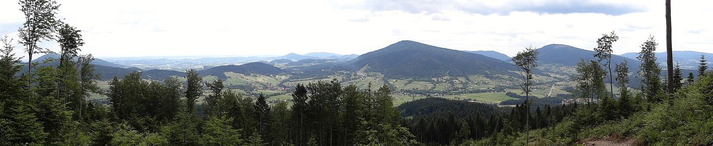 Szeroka letnia panorama ze wschodnich stoków Lubogoszczy: kopulaste szczyty Beskidu Wyspowego za doliną, w środku kadru masyw Śnieżnicy, w dole pola i zabudowania Kasiny Wielkiej; na pierwszym planie świerkowy las i ścieżka na grzbiecie. Czerwiec 2015.