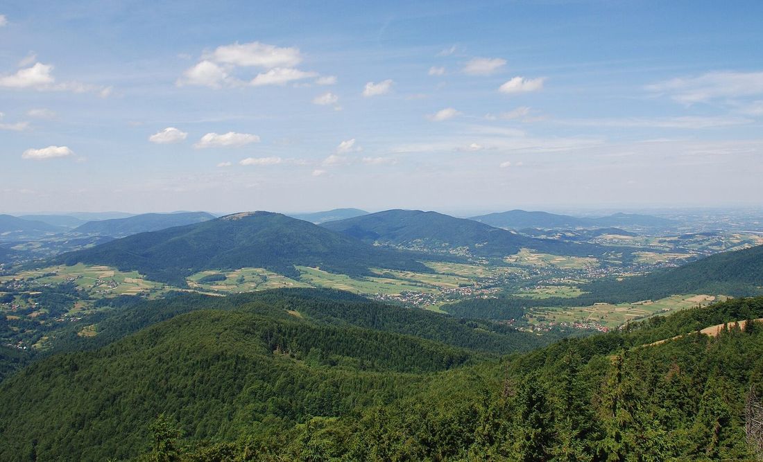 Letnia panorama Beskidu Wyspowego z wieży widokowej na Mogielicy — kopulaste szczyty i doliny z zabudową w tle.