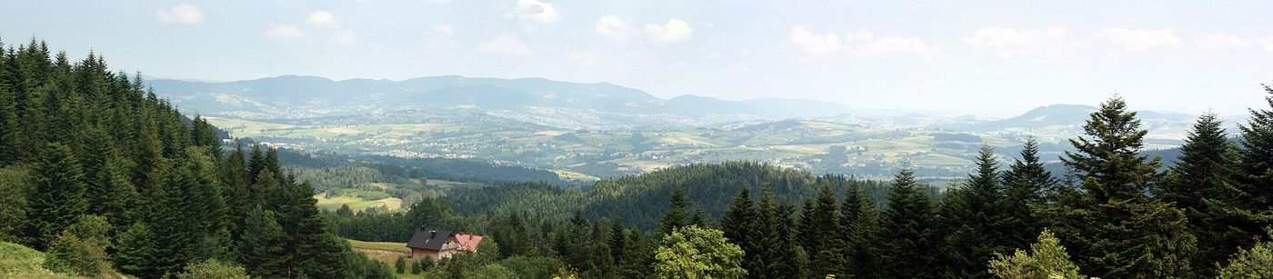 Panorama ze szczytu ponad koronami świerków - rozległa kotlina z zabudową i polami, w tle długie pasmo górskie; latem, żywa zieleń, pojedynczy dom w dole zbocza. (ok. 4,6:1).