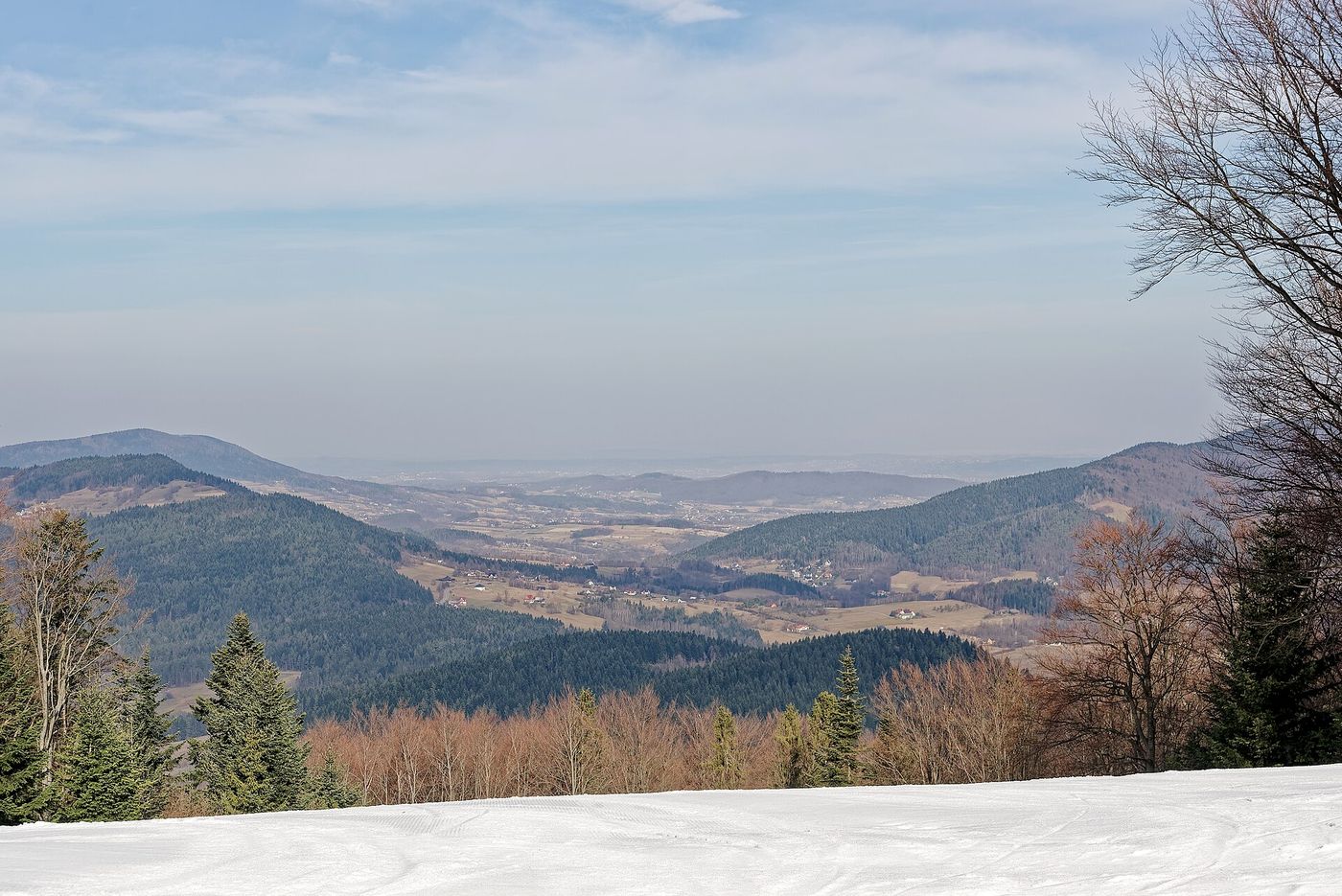 Widok ze stoku Śnieżnicy (spod stacji kolejki krzesełkowej) na zalesione grzbiety Beskidu Wyspowego i dolinę z rozproszoną zabudową; marzec, śnieg na stoku, bezlistne buki po bokach.