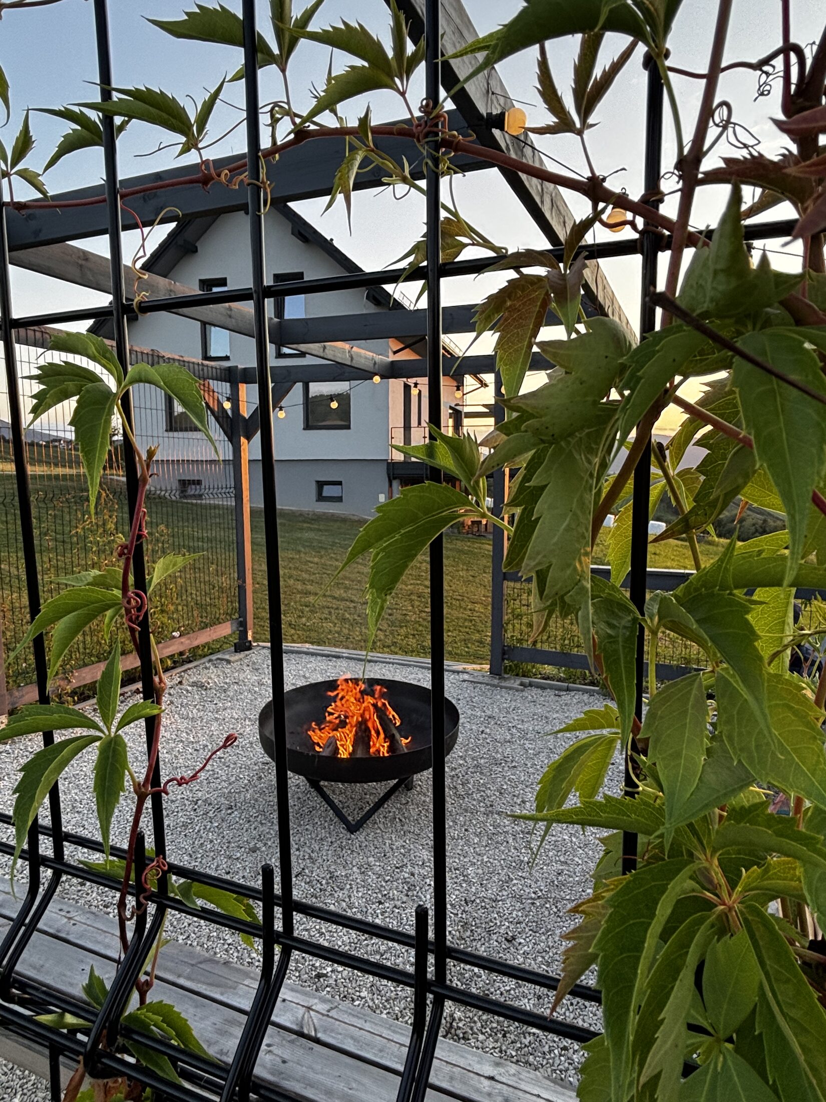 Wachata - ognisko widziane przez pnącza altany, w tle dom