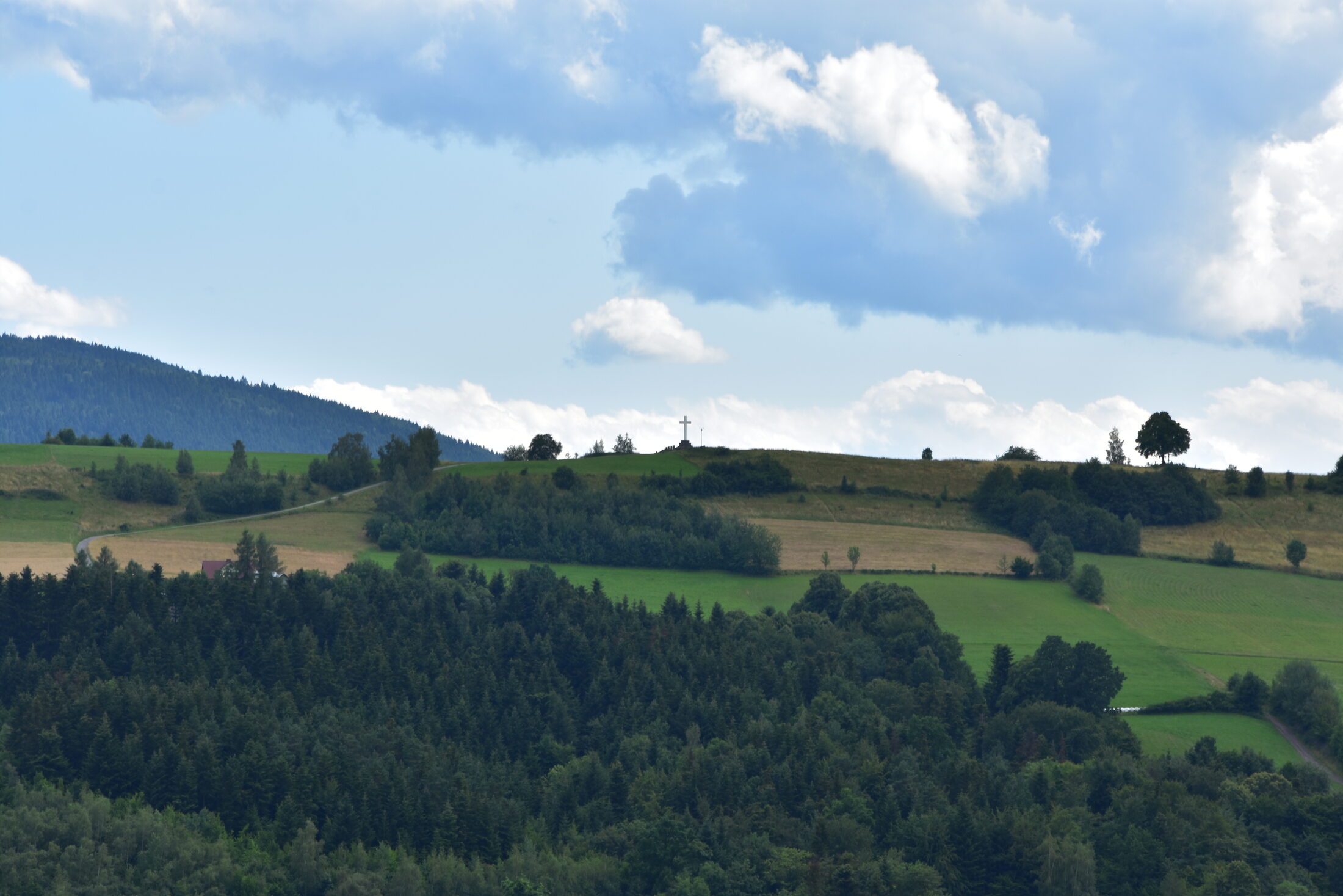 Okolica - krzyż na dziale w Wilkowisku