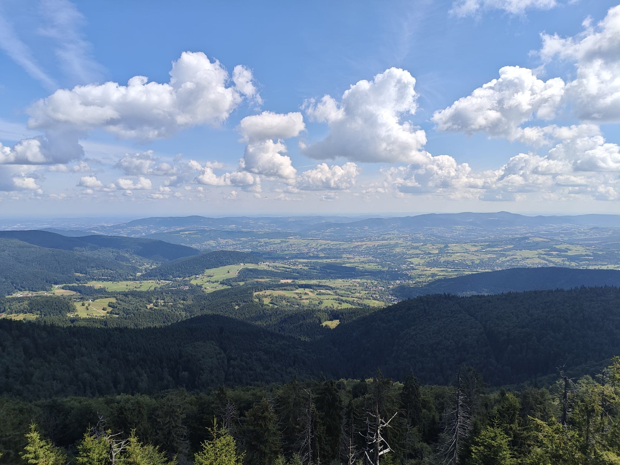 Okolica - panorama ze szczytu Mogielicy