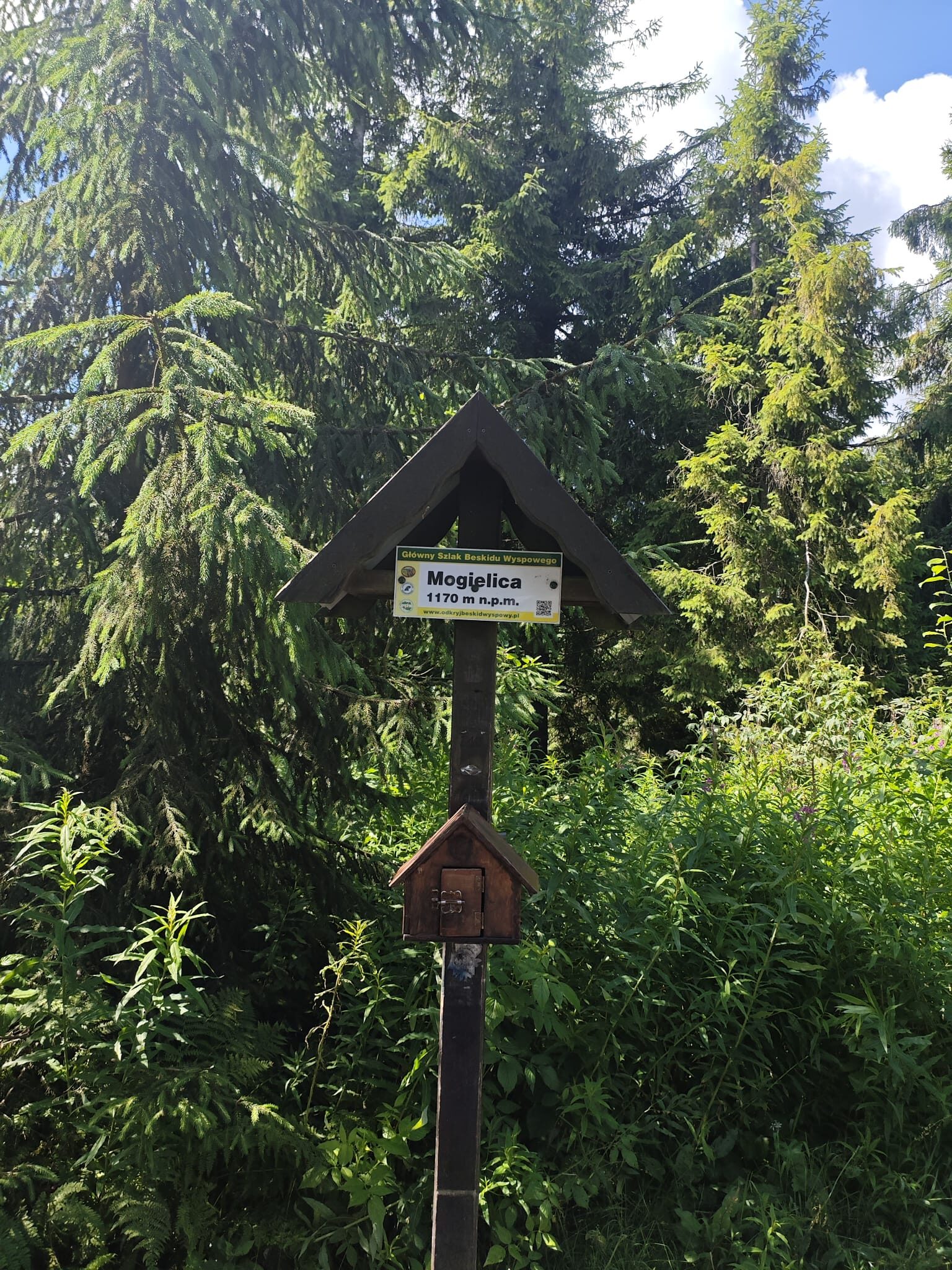 Okolica - tabliczka szczytowa Mogielicy, 1170 m n.p.m.