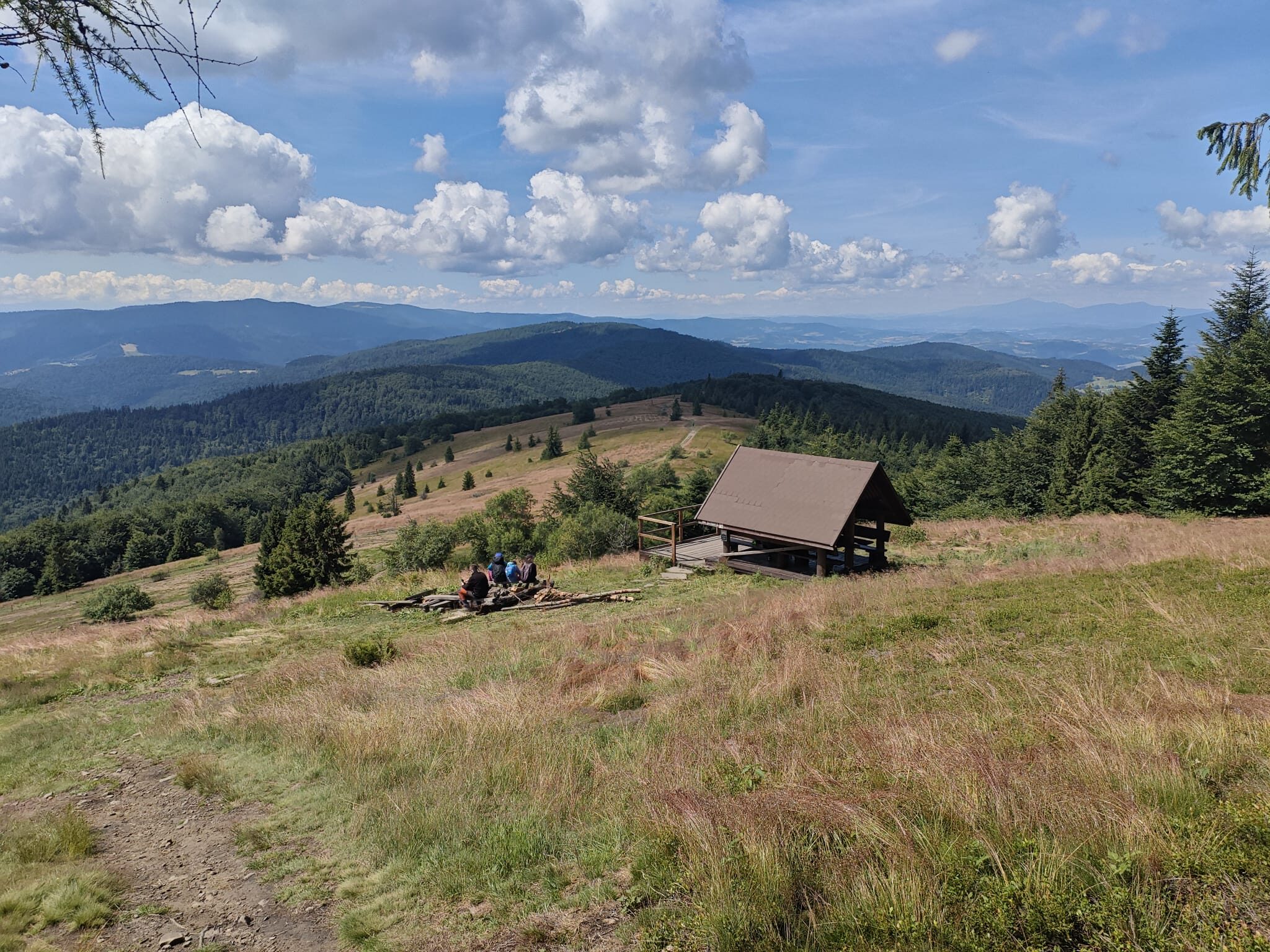 Okolica - wiata na polanie szczytowej Mogielicy