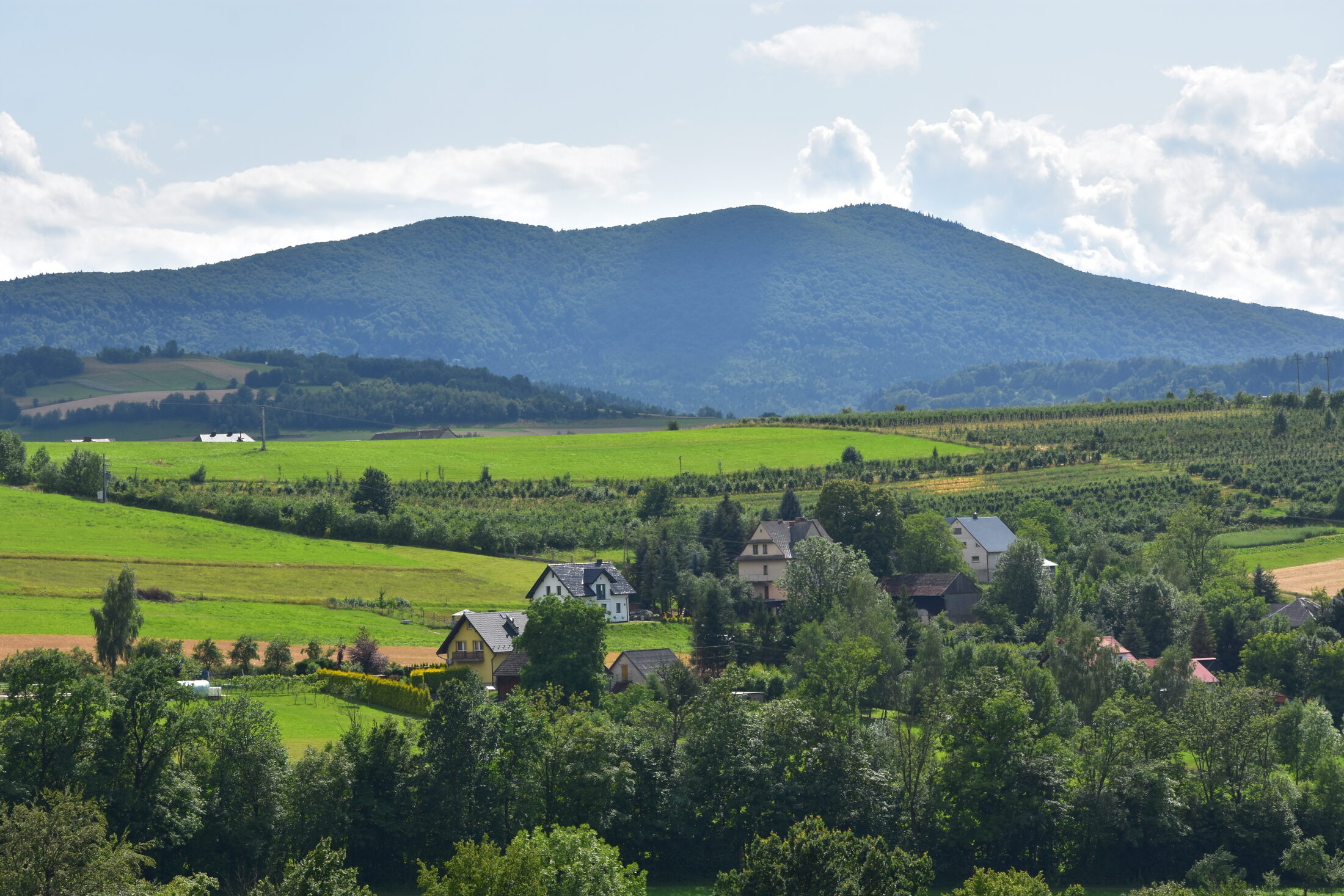 Widok z Wachaty - Ćwilin nad doliną