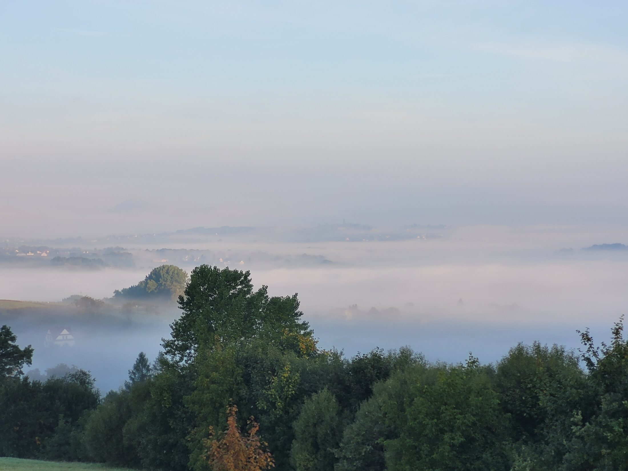 Widok z Wachaty - morze mgieł w dolinie o poranku